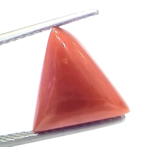 5.70 Ct Natural Italian Triangle Red Coral Trikon Moonga Gemstone 5.70 Ct Natural Italian Triangle Red Coral Trikon Moonga Gemstone