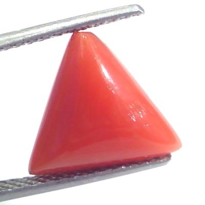 5.69 Ct 9.4 Ratti Natural Italian Triangle Red Coral Moonga Gemstone