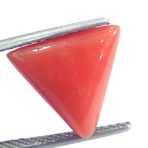 5.69 Ct 9.4 Ratti Natural Italian Triangle Red Coral Moonga Gemstone