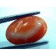 5.74 Ct Top Grade Premium Untreated Natural Japan Red Coral Gemstone