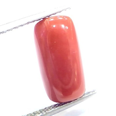 5.76 Ct 6.4 Ratti Natural Italian Red Coral Moonga Gemstone