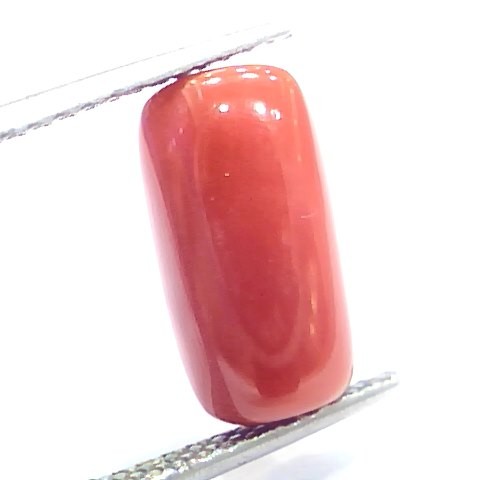5.76 Ct 6.4 Ratti Natural Italian Red Coral Moonga Gemstone