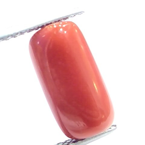 5.76 Ct 6.4 Ratti Natural Italian Red Coral Moonga Gemstone