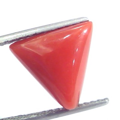 5.76 Ct 9.6 Ratti Natural Italian Triangle Red Coral Moonga Gemstone