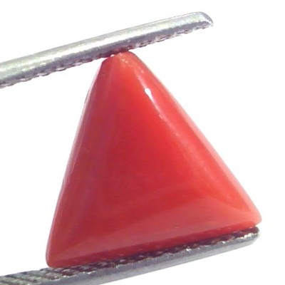 5.76 Ct 9.6 Ratti Natural Italian Triangle Red Coral Moonga Gemstone