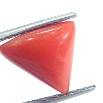 5.77 Ct 6.41 Ratti Natural Italian Triangle Red Coral Moonga Gemstone