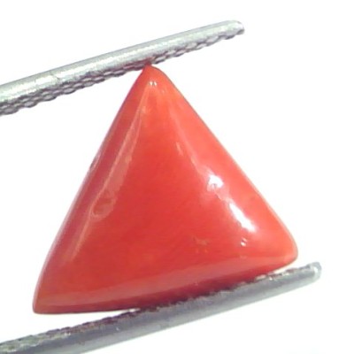 5.77 Ct 6.41 Ratti Natural Italian Triangle Red Coral Moonga Gemstone