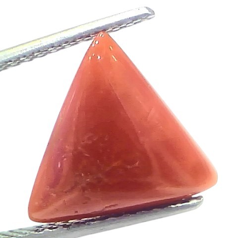5.85 Ct Natural Italian Triangle Red Coral Trikon Moonga Gemstone 5.85 Ct Natural Italian Triangle Red Coral Trikon Moonga Gemstone