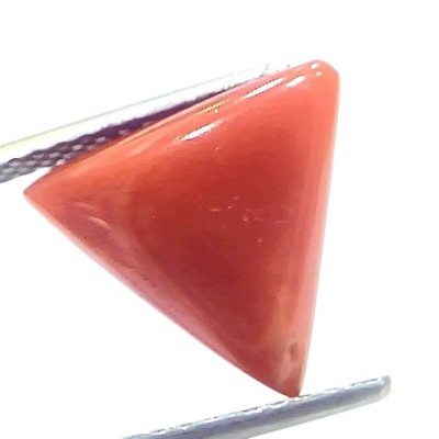 5.85 Ct Natural Italian Triangle Red Coral Trikon Moonga Gemstone 5.85 Ct Natural Italian Triangle Red Coral Trikon Moonga Gemstone