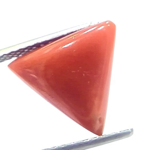 5.85 Ct Natural Italian Triangle Red Coral Trikon Moonga Gemstone 5.85 Ct Natural Italian Triangle Red Coral Trikon Moonga Gemstone