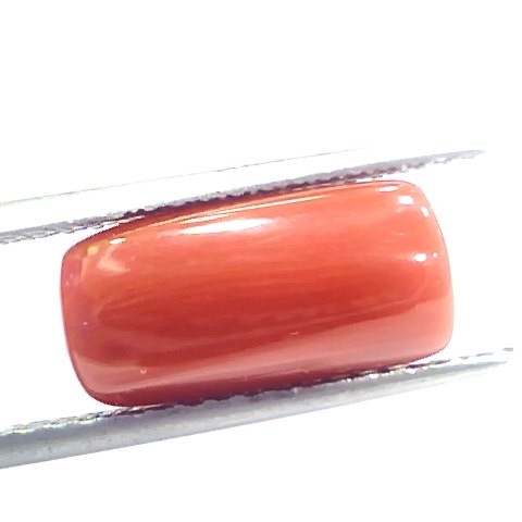 5.85 Ct 9.75 Ratti Natural Italian Red Coral Moonga Gemstone