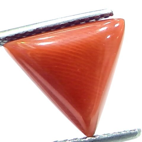 5.90 Ct 9.7 Ratti Natural Italian Triangle Red Coral Moonga Gemstone