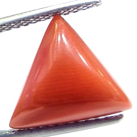 5.90 Ct 9.7 Ratti Natural Italian Triangle Red Coral Moonga Gemstone
