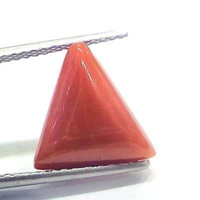 5.92 Ct 6.57 Ratti Natural Italian Triangle Red Coral Moonga Gemstone