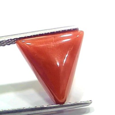 5.92 Ct 6.57 Ratti Natural Italian Triangle Red Coral Moonga Gemstone