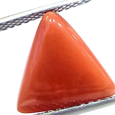 5.95 Ct 9.8 Ratti Natural Italian Triangle Red Coral Moonga Gemstone