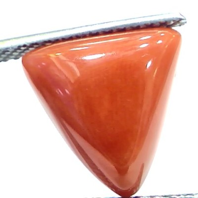 5.95 Ct 9.8 Ratti Natural Italian Triangle Red Coral Moonga Gemstone