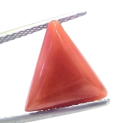 5.96 Ct Natural Italian Triangle Red Coral Trikon Moonga Gemstone 5.96 Ct Natural Italian Triangle Red Coral Trikon Moonga Gemstone