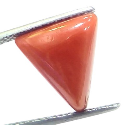 5.96 Ct Natural Italian Triangle Red Coral Trikon Moonga Gemstone 5.96 Ct Natural Italian Triangle Red Coral Trikon Moonga Gemstone