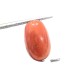 5.95 Ct 6.6 Ratti Natural Untreated Italian Red Coral Moonga Gems