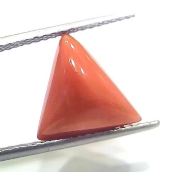 5.97 Ct 6.63 Ratti Natural Italian Triangle Red Coral Moonga Gemstone
