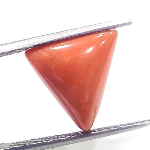 5.97 Ct 6.63 Ratti Natural Italian Triangle Red Coral Moonga Gemstone