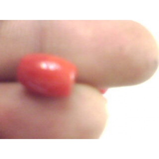 Red Coral Beads 1 pieces natural red coral for coral mala wt 4 ct