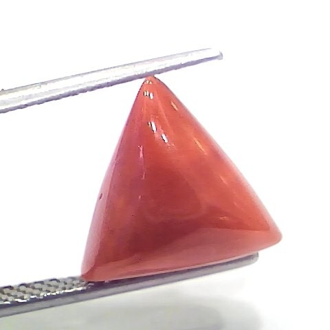 6.00 Ct 6.66 Ratti Natural Italian Triangle Red Coral Moonga Gemstone