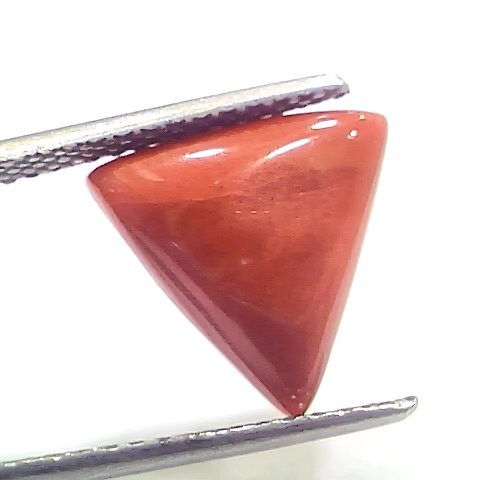 6.00 Ct 6.66 Ratti Natural Italian Triangle Red Coral Moonga Gemstone