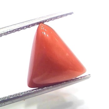 6.09 Ct 6.76 Ratti Natural Italian Triangle Red Coral Moonga Gemstone