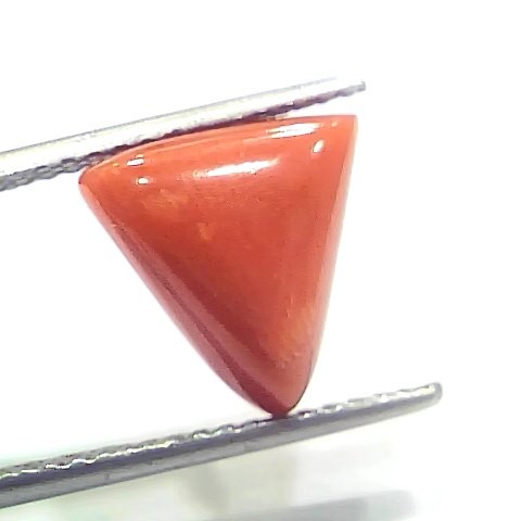 6.09 Ct 6.76 Ratti Natural Italian Triangle Red Coral Moonga Gemstone