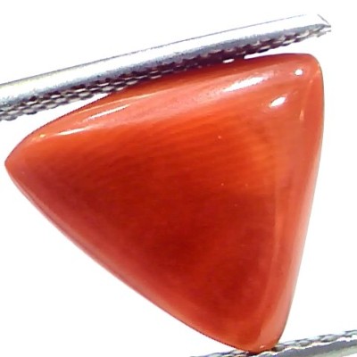 6.09 Ct 10.1 Ratti Natural Italian Triangle Red Coral Moonga Gemstone