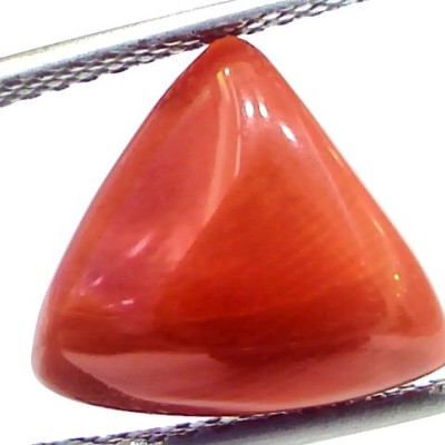 6.09 Ct 10.1 Ratti Natural Italian Triangle Red Coral Moonga Gemstone