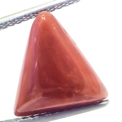 6.12 Ct Natural Italian Triangle Red Coral Trikon Moonga Gemstone 6.12 Ct Natural Italian Triangle Red Coral Trikon Moonga Gemstone