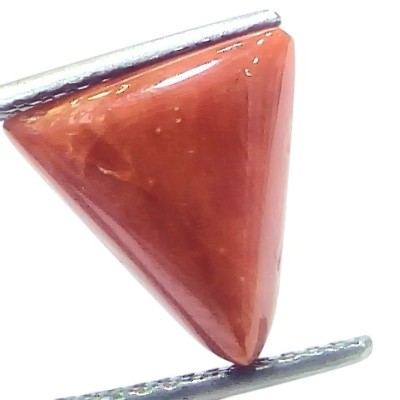 6.12 Ct Natural Italian Triangle Red Coral Trikon Moonga Gemstone 6.12 Ct Natural Italian Triangle Red Coral Trikon Moonga Gemstone