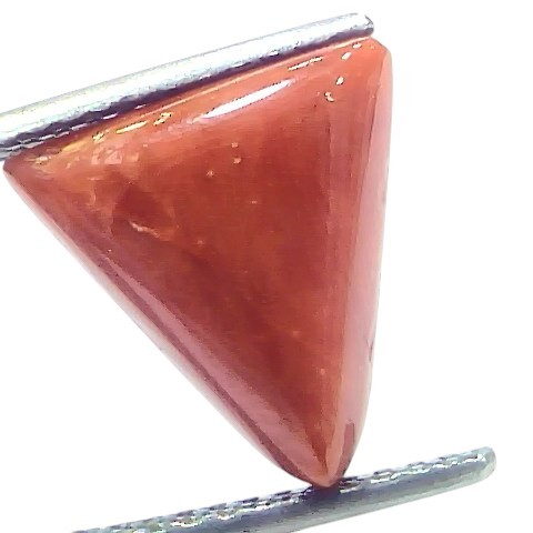 6.12 Ct Natural Italian Triangle Red Coral Trikon Moonga Gemstone 6.12 Ct Natural Italian Triangle Red Coral Trikon Moonga Gemstone