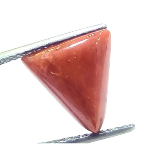 6.13 Ct Natural Italian Triangle Red Coral Trikon Moonga Gemstone