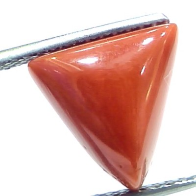6.22 Ct 10.3 Ratti Natural Italian Triangle Red Coral Moonga Gemstone