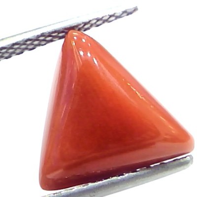 6.22 Ct 10.3 Ratti Natural Italian Triangle Red Coral Moonga Gemstone