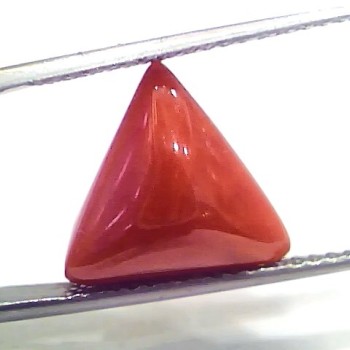 6.25 Ct 6.94 Ratti Natural Italian Triangle Red Coral Moonga Gemstone