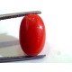 6.25 Ct Untreated Natural Premium Italian Red Coral AAA
