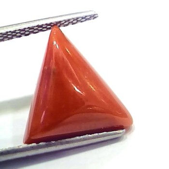 6.27 Ct 6.96 Ratti Natural Italian Triangle Red Coral Moonga Gemstone