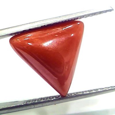 6.25 Ct 6.94 Ratti Natural Italian Triangle Red Coral Moonga Gemstone