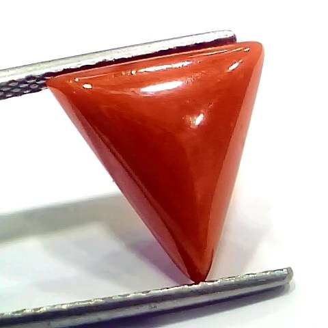 6.27 Ct 6.96 Ratti Natural Italian Triangle Red Coral Moonga Gemstone