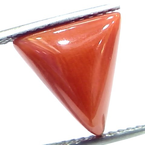 6.23 Ct 10.3 Ratti Natural Italian Triangle Red Coral Moonga Gemstone