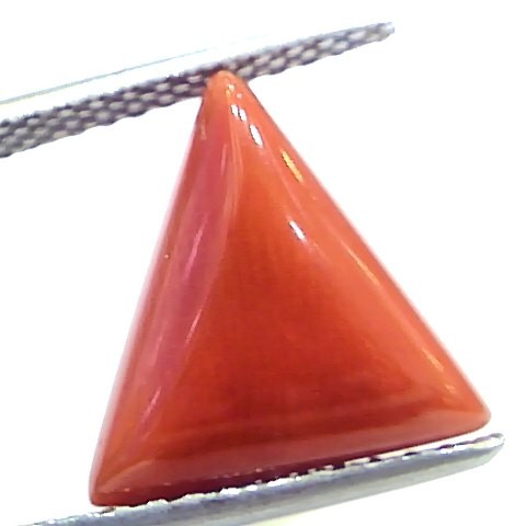 6.23 Ct 10.3 Ratti Natural Italian Triangle Red Coral Moonga Gemstone