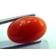 6.24 Ct Top Grade Premium Untreated Natural Japan Red Coral Gemstone