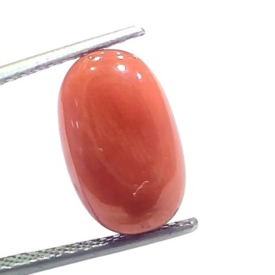 6.33 Ct 7 Ratti Natural Untreated Italian Red Coral Moonga Gems 6.33 Ct 7 Ratti Natural Untreated Italian Red Coral Moonga Gems