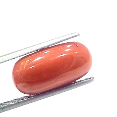 6.36 Ct 7.05 Ratti Natural Untreated Italian Red Coral Moonga Gems 6.36 Ct 7.05 Ratti Natural Untreated Italian Red Coral Moonga Gems