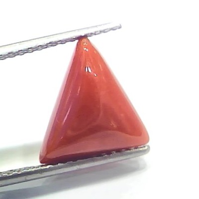 6.41 Ct 7.12 Ratti Natural Italian Triangle Red Coral Moonga Gemstone